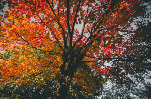 Best Places To See Fall Colors In Rhode Island And New England
